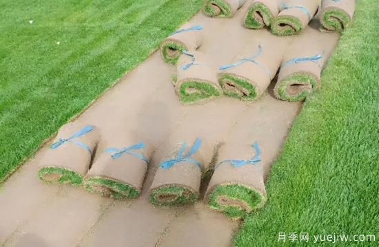 草坪，2021年上半年當(dāng)之無(wú)愧的行情之王(圖3)