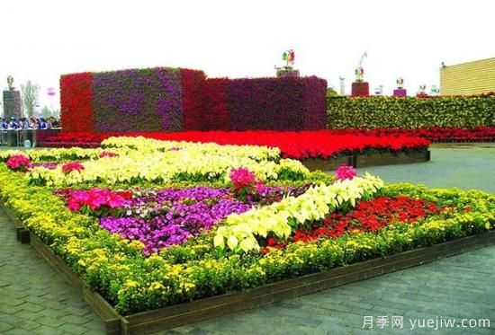 城市園林中美麗的花壇是如何設(shè)計(jì)制作的？(圖2)