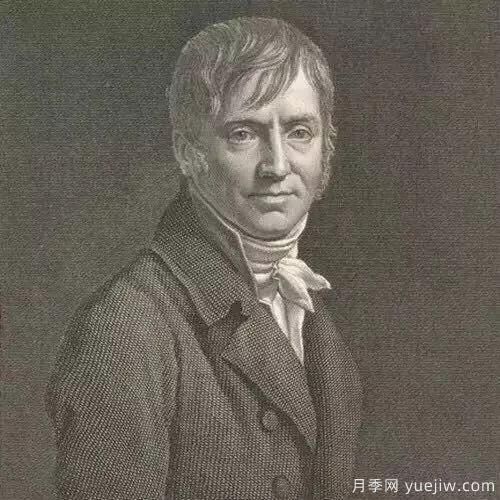 談?wù)勚袊录镜陌l(fā)展史，致敬中國的月季育種家前輩們！(圖4)