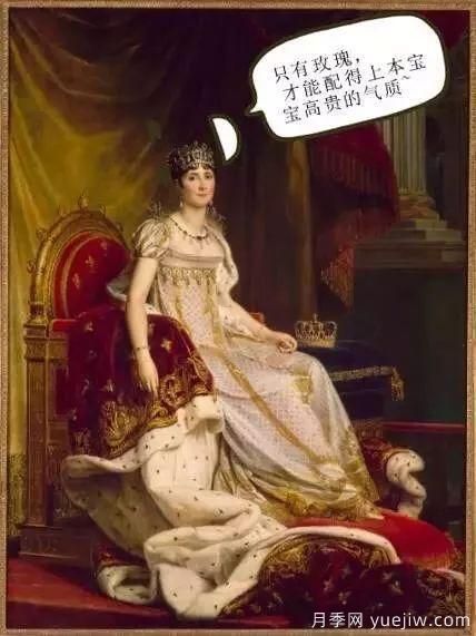 談?wù)勚袊录镜陌l(fā)展史，致敬中國的月季育種家前輩們！(圖5)