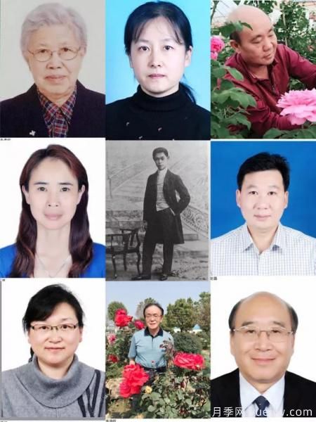 談?wù)勚袊录镜陌l(fā)展史，致敬中國的月季育種家前輩們！(圖12)