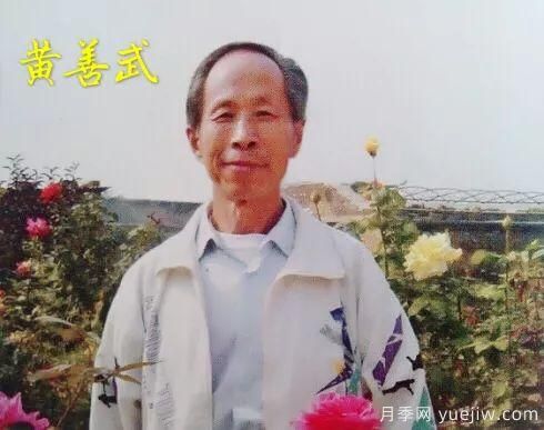談?wù)勚袊录镜陌l(fā)展史，致敬中國的月季育種家前輩們！(圖16)