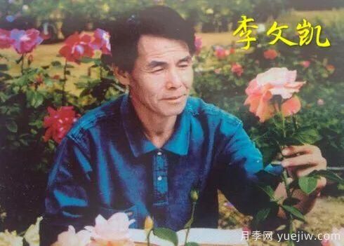 談?wù)勚袊录镜陌l(fā)展史，致敬中國的月季育種家前輩們！(圖18)