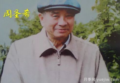 談?wù)勚袊录镜陌l(fā)展史，致敬中國的月季育種家前輩們！(圖25)