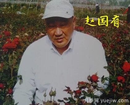 談?wù)勚袊录镜陌l(fā)展史，致敬中國的月季育種家前輩們！(圖24)