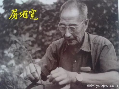 談?wù)勚袊录镜陌l(fā)展史，致敬中國的月季育種家前輩們！(圖29)