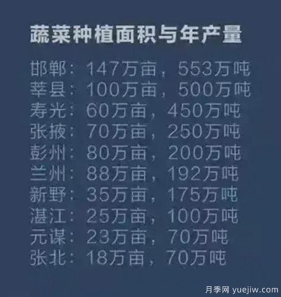 叫響南陽蔬菜品牌，新野蔬菜基地和社旗蔬菜基地打牢基礎(chǔ)(圖1)