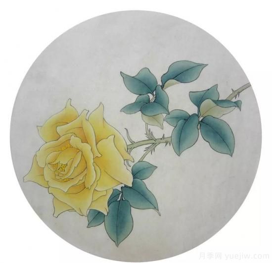談?wù)勚袊录镜陌l(fā)展史，致敬中國的月季育種家前輩們！(圖67)