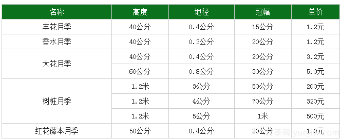月季花多少錢一株？月季花的繁殖方法和養(yǎng)殖方法(圖1)
