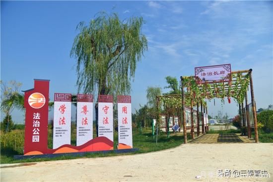 西咸新區(qū)：建設美麗家園 助推鄉(xiāng)村振興(圖3)