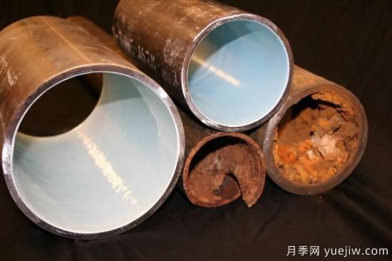 耐寒性，你家月季抗不抗凍？月季如何過冬(圖13)